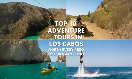 Top 10 Adventure Tours in Los Cabos Worth Every Peso (2025 Ultimate Guide)