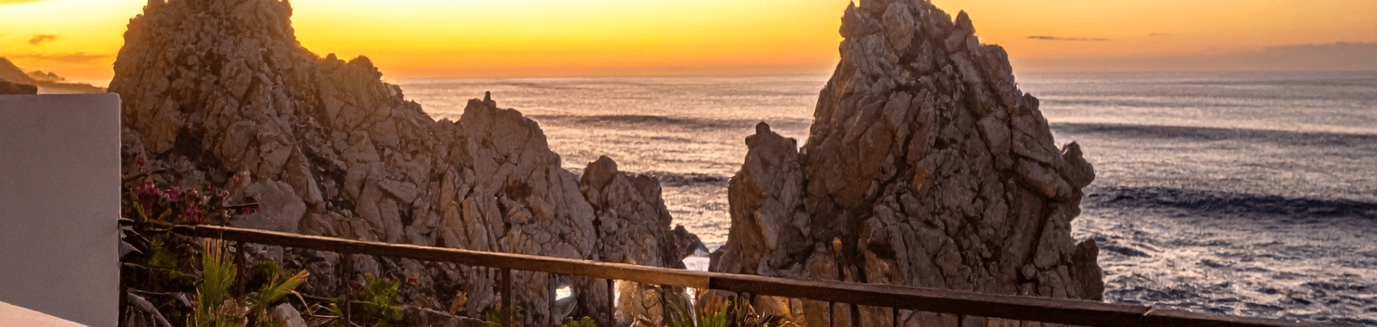 Where Desert Meets Sea: Los Cabos’ Unique Ecosystem Guide