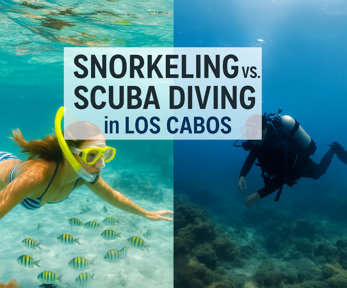 Snorkeling vs. Scuba Diving in Los Cabos—Best Ocean Adventure Guide