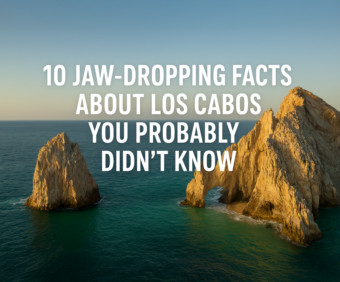 10 Jaw-Dropping Facts About Los Cabos You Didn’t Know | Inside Los Cabos
