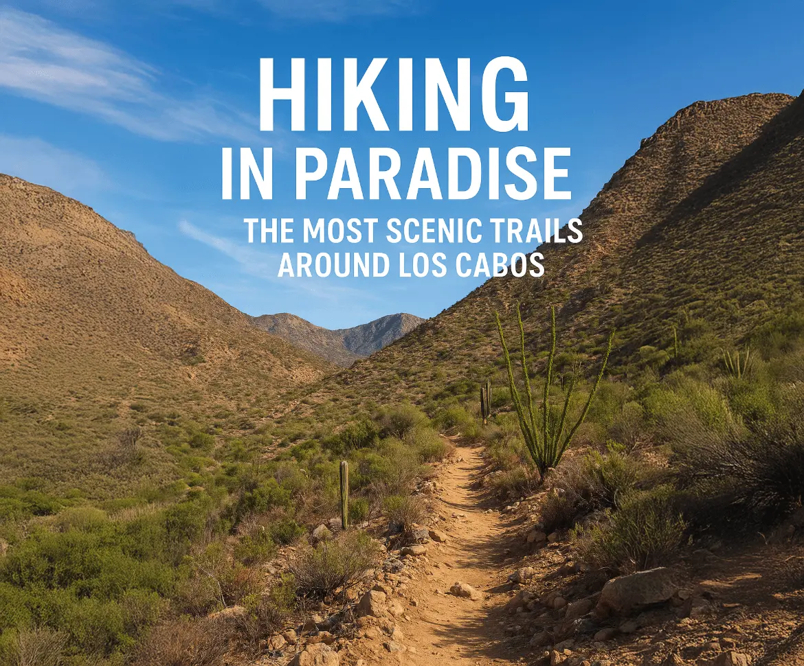 Hiking in Los Cabos: Top Scenic Trails & Nature Adventures