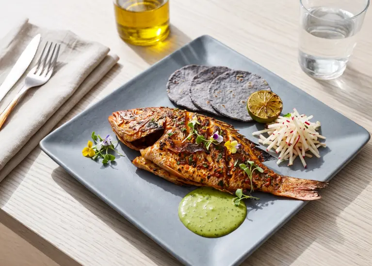 Guía de Pescado Silvestre en Los Cabos [Guía 2026]
